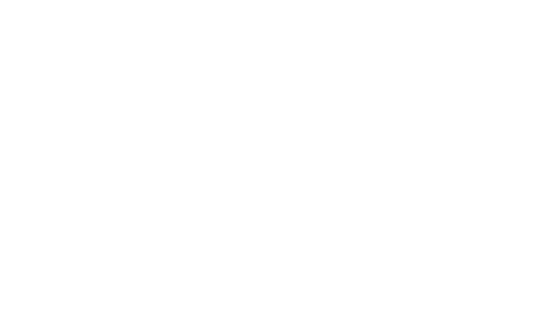 Pelsis