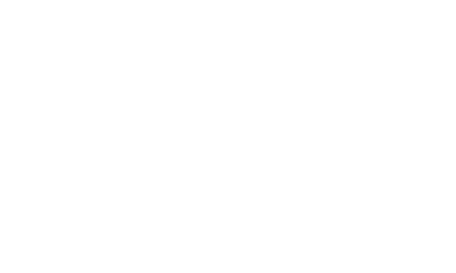 Akzo-Nobel-Logo