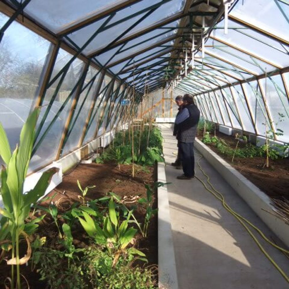 Ryewater-nursery-ETFE-panels71